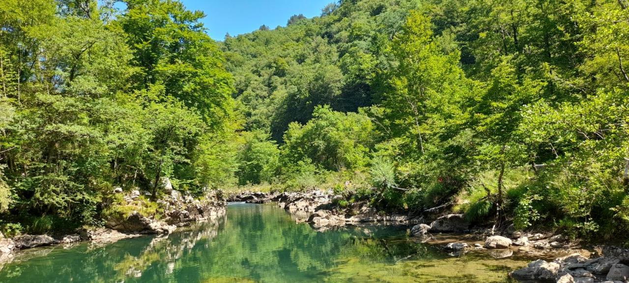 Vila Rozi, Osilnica - Vacation House Pr' Vili Rozi エクステリア 写真