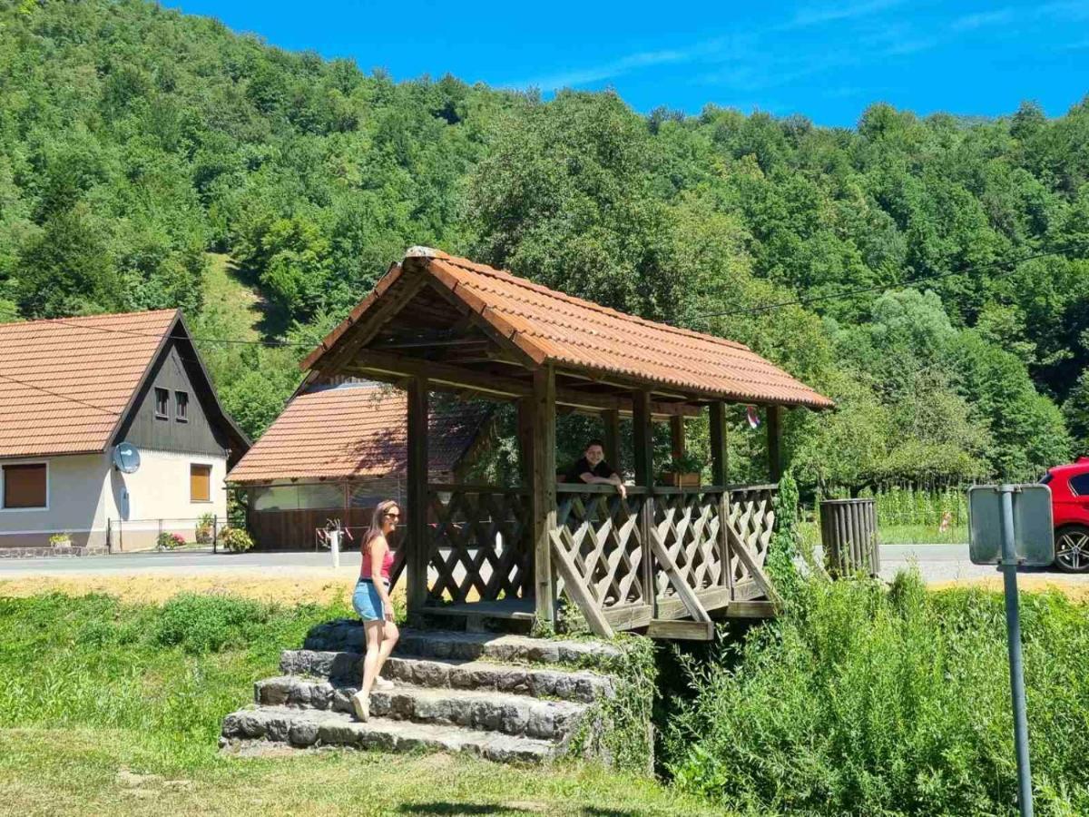 Vila Rozi, Osilnica - Vacation House Pr' Vili Rozi エクステリア 写真